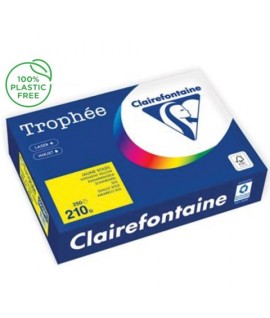 CARTA TROPHEE 210G A4 GIALLO 2210 250F
