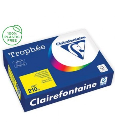 CARTA TROPHEE 210G A4 GIALLO 2210 250F