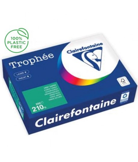 CARTA TROPHEE 210G A4 VERDONE 2213 250F
