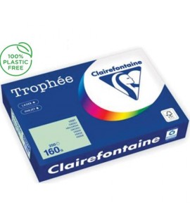 CARTA TROPHEE 160G A4 VERDE 2635 250F