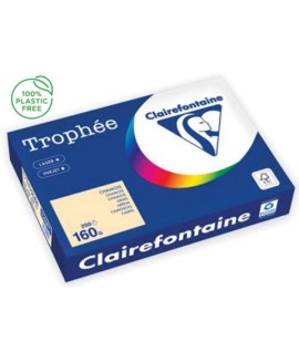 CARTA TROPHEE 160G A4 CAMOSCIO 1040 250F