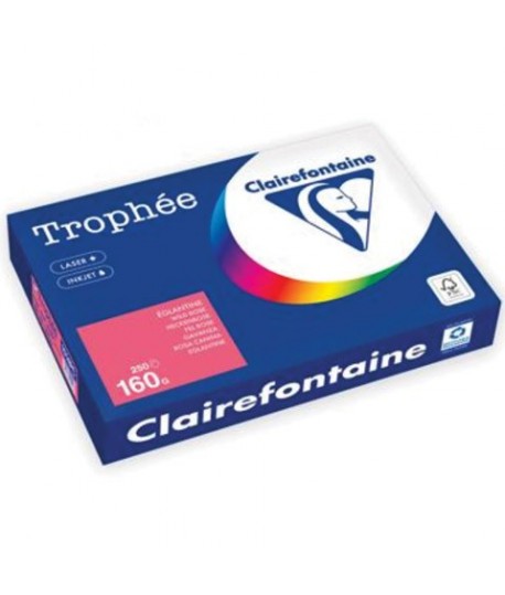 CARTA TROPHEE 120G A4 SALMONE 1014 500F