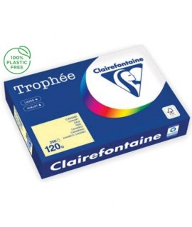 CARTA TROPHEE 120G A4 GIALLO 1248 250F