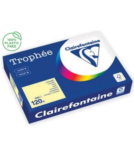 CARTA TROPHEE 120G A4 GIALLO 1248 250F