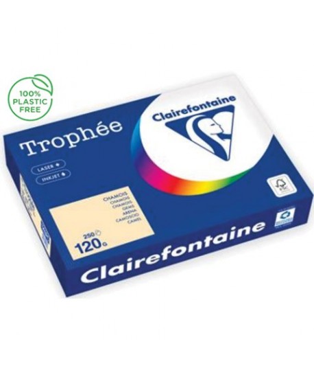 CARTA TROPHEE 120G A4 CAMOSCIO 1203 250F