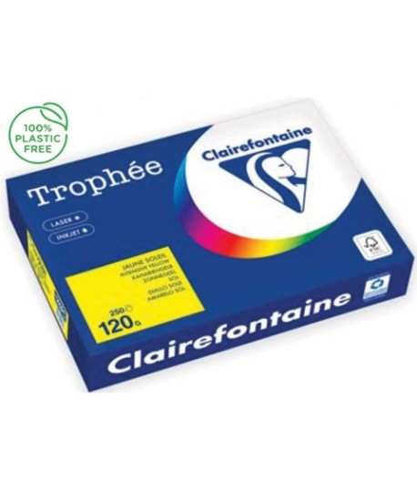 CARTA TROPHEE 120G A4 GIALLO 1292 250F