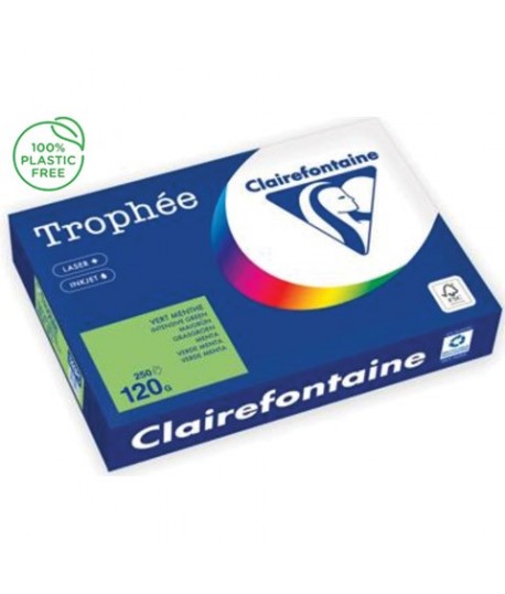 CARTA TROPHEE 120G A4 VERDE 1293 250F