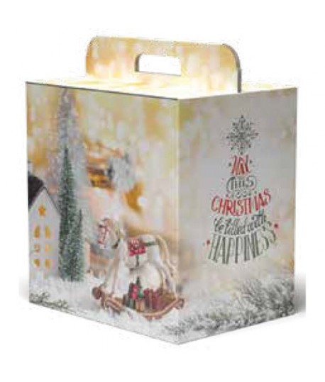 SCATOLA C/MANIGLIA 100S/V125 30*23*34