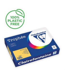 CARTA TROPHEE 120G A4 ORO 1206 250F