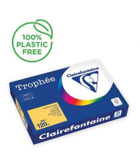 CARTA TROPHEE 120G A4 ORO 1206 250F