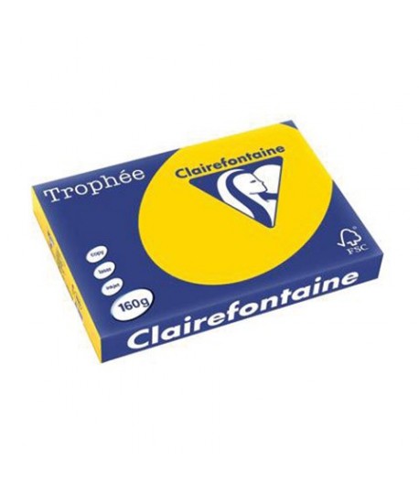 CARTA TROPHEE 160G A3 ORO 1110 250F