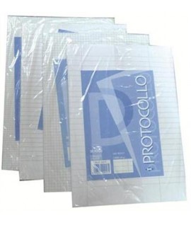 CARTA PROTOCOLLO 60G 4MM 20FF