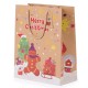SHOPPER STAR ZEN BAGS 18X10X23 23313