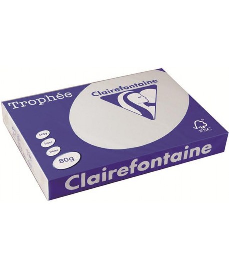 CARTA TROPHEE 80G A3 GRIGIO 1251 500FF