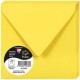 BUSTA POLLEN 140X140 GIALLO 5568 20PZ
