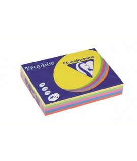 CARTA TROPHE 1704 80G A4 MIX FORTI 500FF