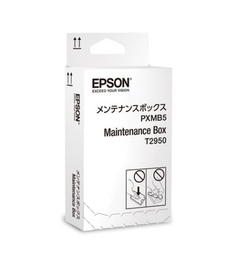 EPSON T295000 MAINTENCE BOX WF-100W