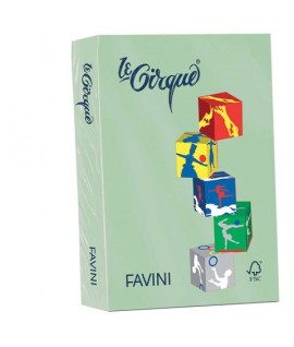 RS.500FF LE CIRQUE A4 GR.80 VERDE 107