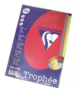 CARTA TROPHEE 80G A4 MIX COL.FORTI 100FF