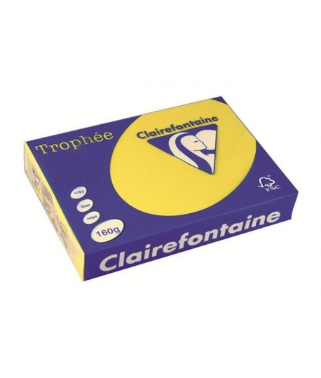 CARTA TROPHEE 160G A4 GIALLO 1029 250F