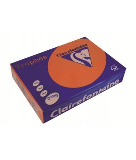 CARTA TROPHEE 210G A4 ARANCIO 2207 250F