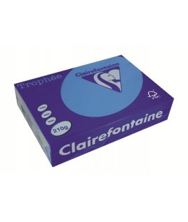 CARTA TROPHEE 210G A4 TURCHESE 2212 250F