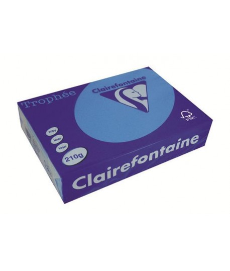 CARTA TROPHEE 210G A4 TURCHESE 2212 250F