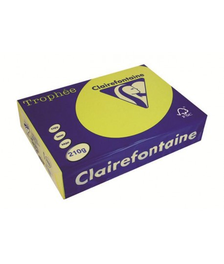 CARTA TROPHEE 210G A4 GIALLO 2210 250F