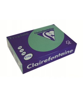 CARTA TROPHEE 210G A4 VERDONE 2213 250F