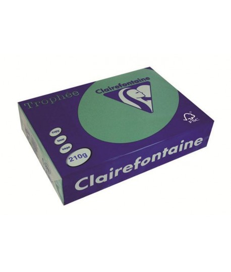 CARTA TROPHEE 210G A4 VERDONE 2213 250F