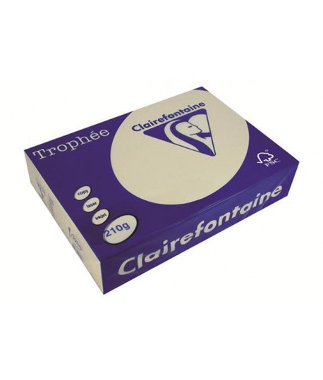 CARTA TROPHEE 210G A4 AVORIO 2204 250F