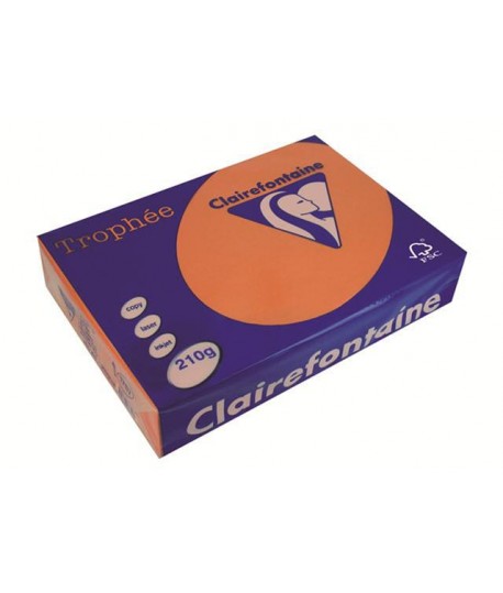 CARTA TROPHEE 210G A4 ARANCIO 1767 250F