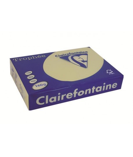 CARTA TROPHEE 160G A4 CAMOSCIO 1040 250F