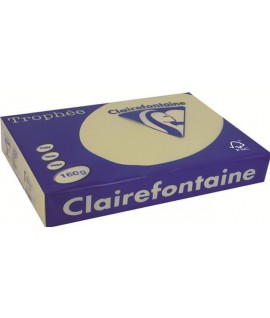 CARTA TROPHEE 160G A3 CAMOSCIO 1066 250F