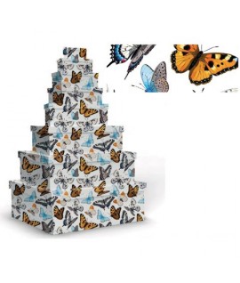 SET SCATOLE MARPIMAR FARFALLE2 8PZ