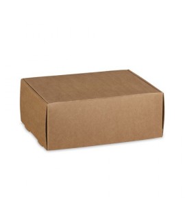 SCAT. FAST AVANA 38713 CM21,5*17*5