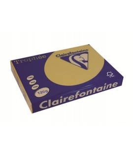 CARTA TROPHEE 120G A4 ALBICOCCA1275 250F