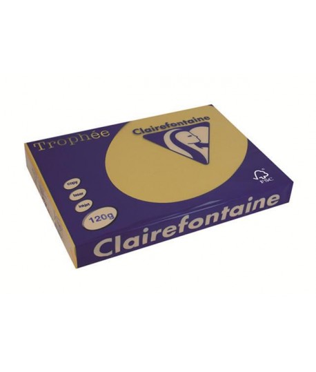 CARTA TROPHEE 120G A4 ALBICOCCA1275 250F