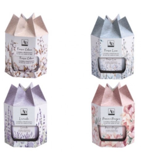 CANDELA PROFUMATA STAR 114059 + VASETTO