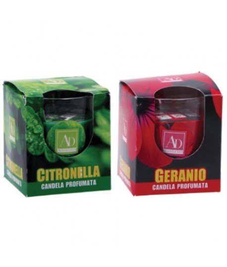 CANDELA PROFUMATA STAR 117623 + VASETTO