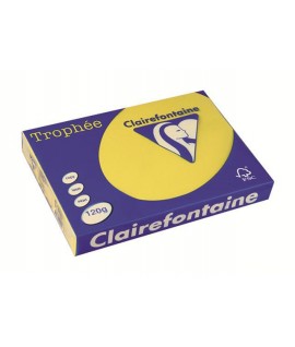 CARTA TROPHEE 120G A4 GIALLO 1292 250F