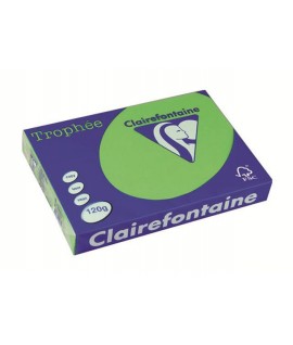 CARTA TROPHEE 120G A4 VERDE 1293 250F