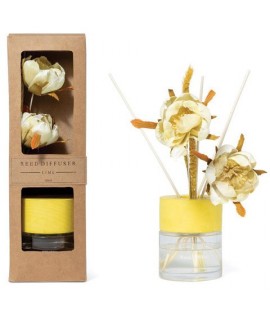 DIFFUSORE ESSENZA C/FIORI 100ML LIME