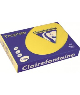 CARTA TROPHEE 160G A3 GIALLO 1039 250F