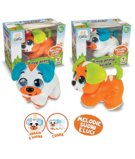 TEOREMA 80528 IL MIO PRIMO CUCCIOLO