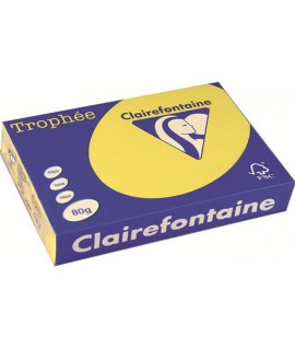 CARTA TROPHEE 80G A3 GIALLO 1887 500F