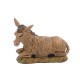 ASINO CM10 TETL 00060NSC PER PRESEPE