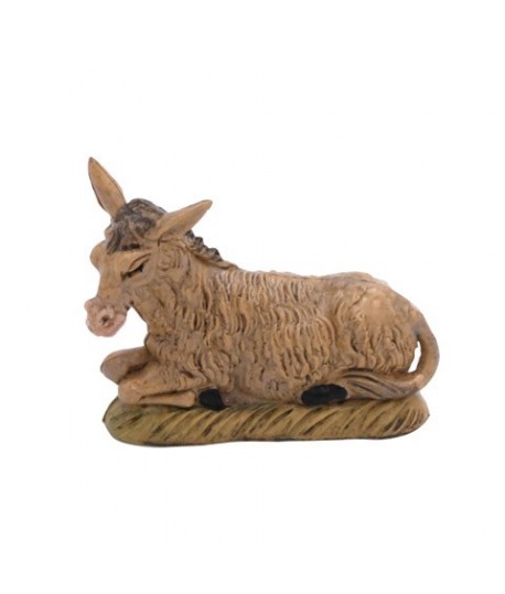 ASINO CM10 TETL 00060NSC PER PRESEPE