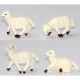 PECORE CM3X3 LUCIDE G1100-LU 24PZ