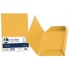 CARTELLA 3 LEMBI FAVINI GIALLO ORO 25PZ